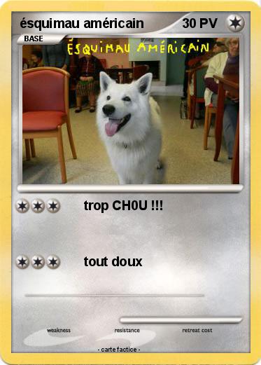 Pokemon ésquimau américain