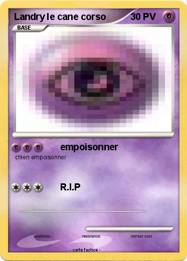 Pokemon Landry le cane corso