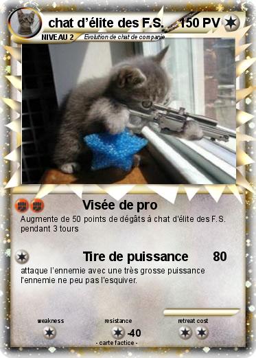 Pokemon chat d’élite des F.S.