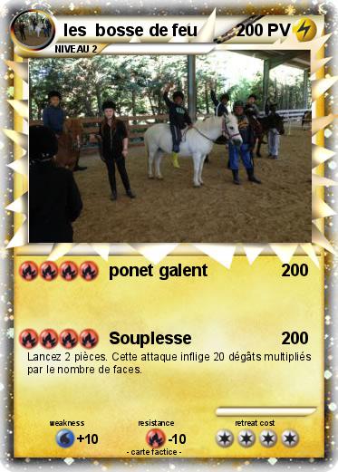 Pokemon les  bosse de feu