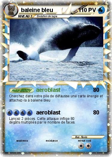 Pokemon baleine bleu