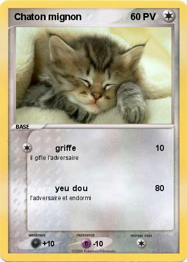 Pokemon Chaton mignon