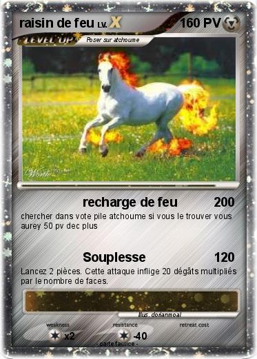 Pokemon raisin de feu