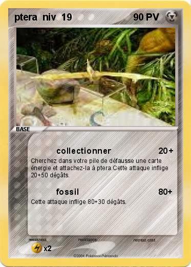 Pokemon ptera  niv  19