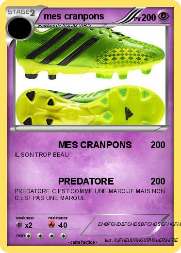 Pokemon mes cranpons