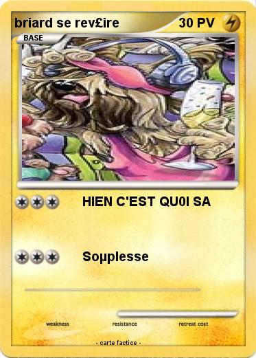 Pokemon briard se rev£ire