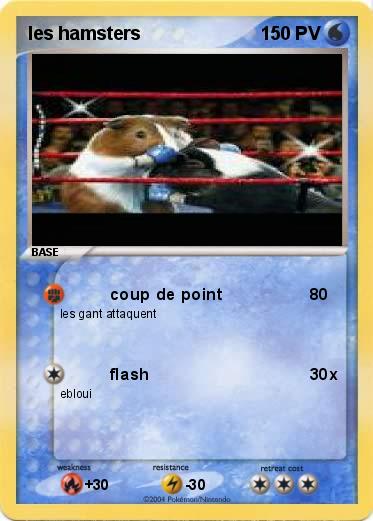 Pokemon les hamsters