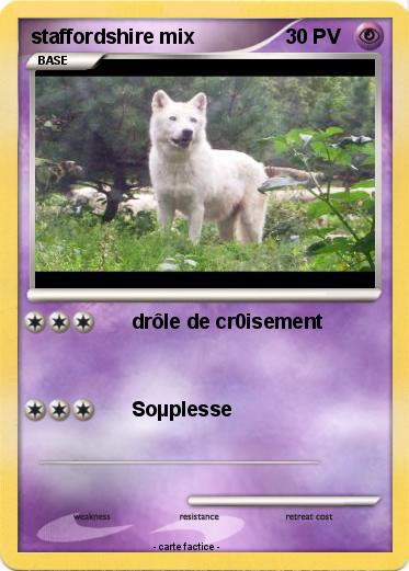 Pokemon staffordshire mix