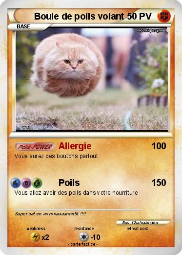 Pokemon Boule de poils volant