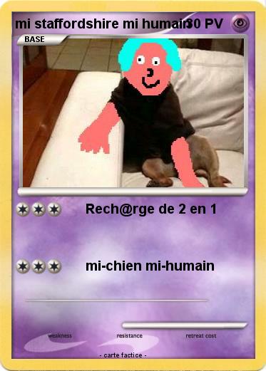 Pokemon mi staffordshire mi humain