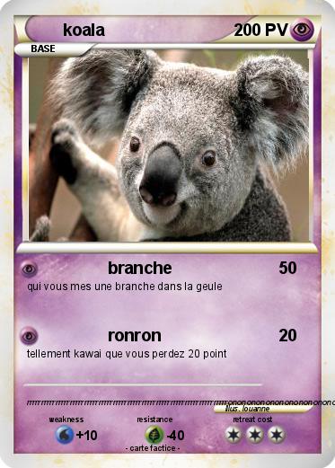Pokemon koala