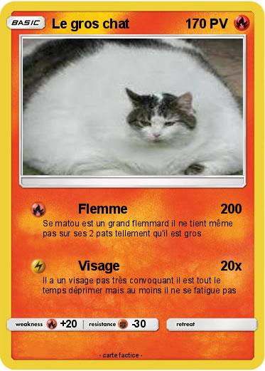 Pokemon Le gros chat