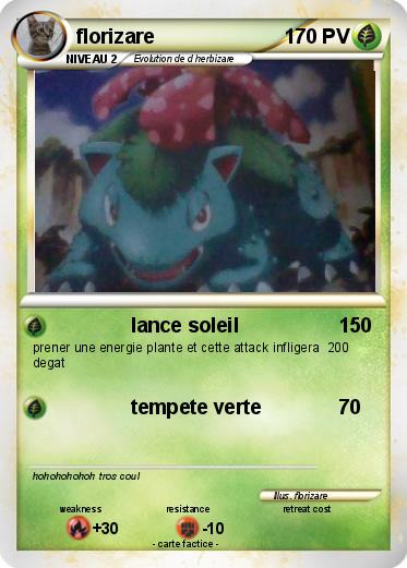 Pokemon florizare