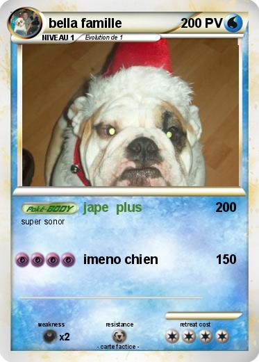 Pokemon bella famille