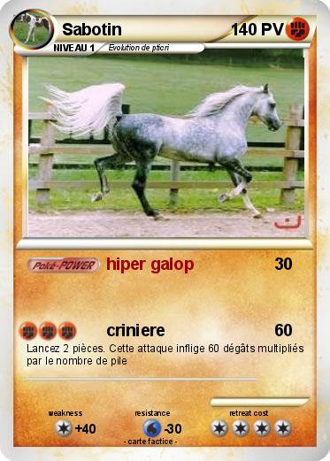 Pokemon Sabotin