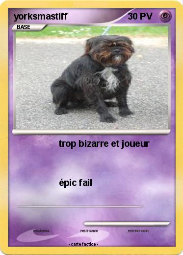 Pokemon yorksmastiff