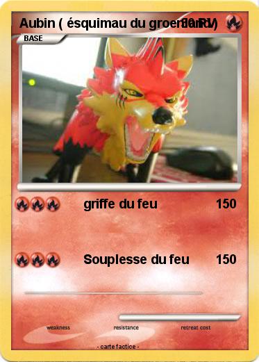 Pokemon Aubin ( ésquimau du groenland )