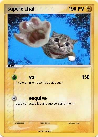 Pokemon supere chat
