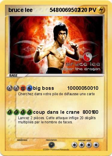 Pokemon bruce lee           5480069502