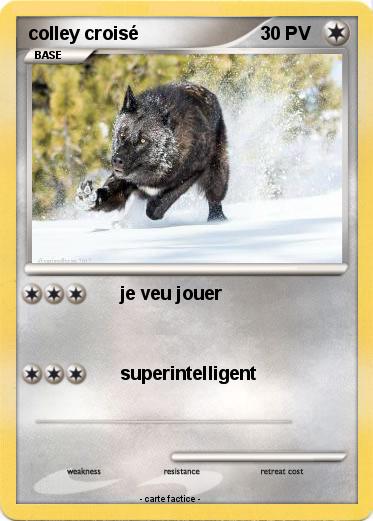 Pokemon colley croisé