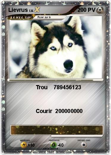Pokemon Lievrus