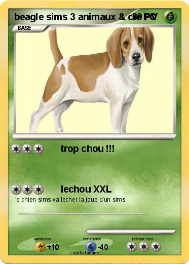 Pokemon beagle sims 3 animaux & cie PC