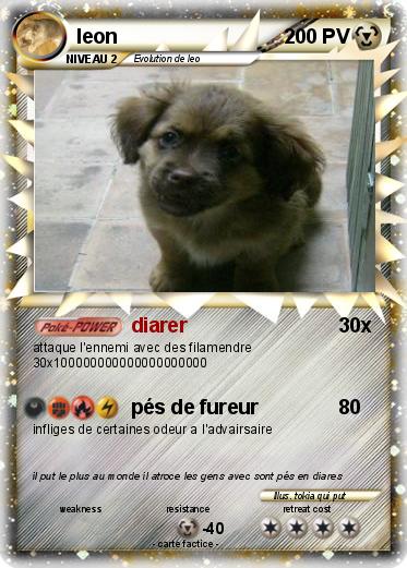 Pokemon leon