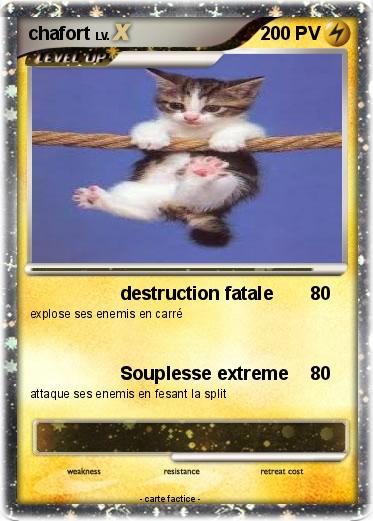 Pokemon chafort