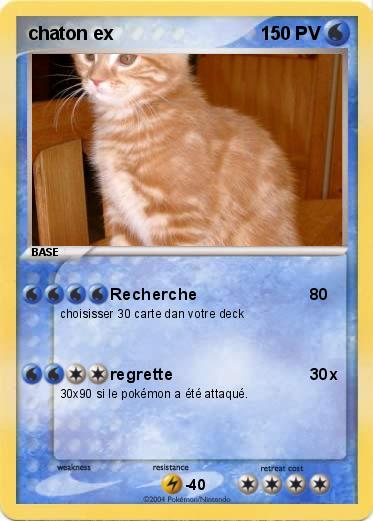 Pokemon chaton ex