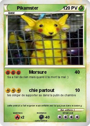 Pokemon Pikamster
