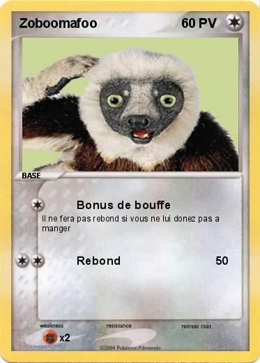 Pokemon Zoboomafoo