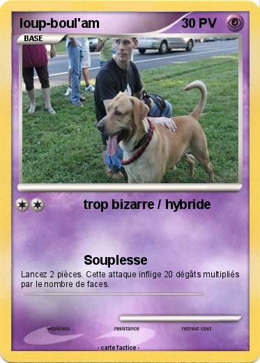 Pokemon loup-boul'am