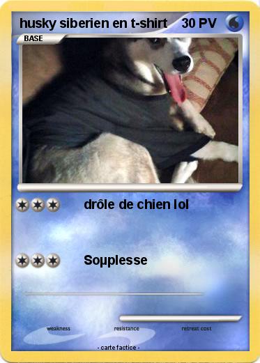 Pokemon husky siberien en t-shirt