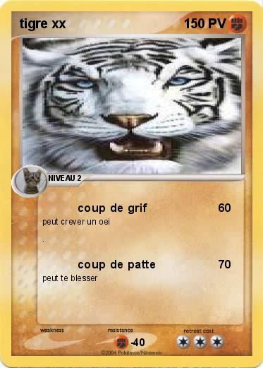 Pokemon tigre xx