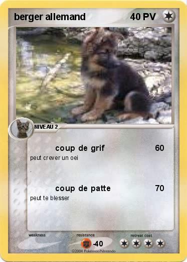 Pokemon berger allemand