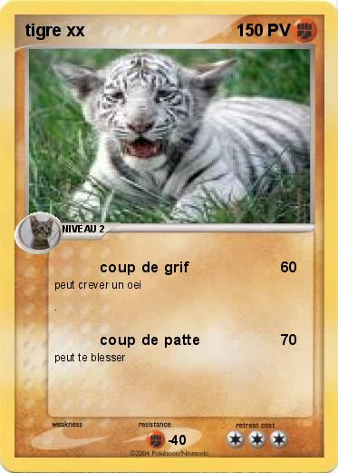Pokemon tigre xx