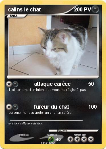 Pokemon calins le chat