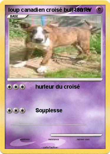 Pokemon loup canadien croisé bull-terrier