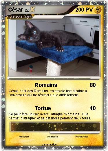 Pokemon César