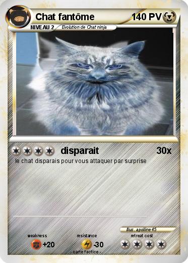 Pokemon Chat fantôme