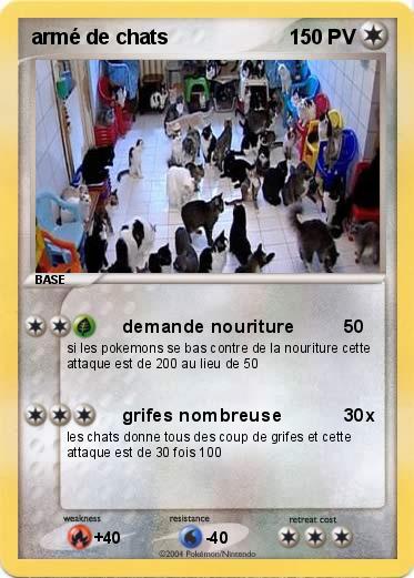 Pokemon armé de chats