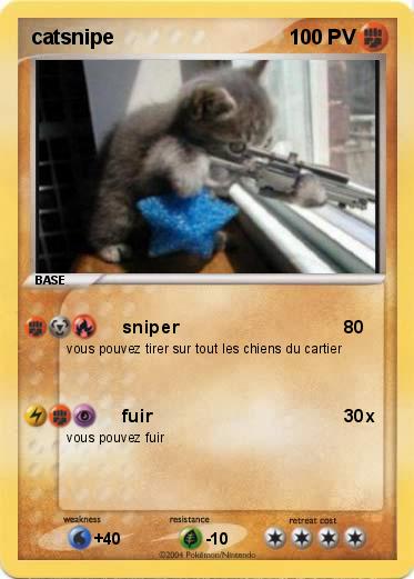 Pokemon catsnipe