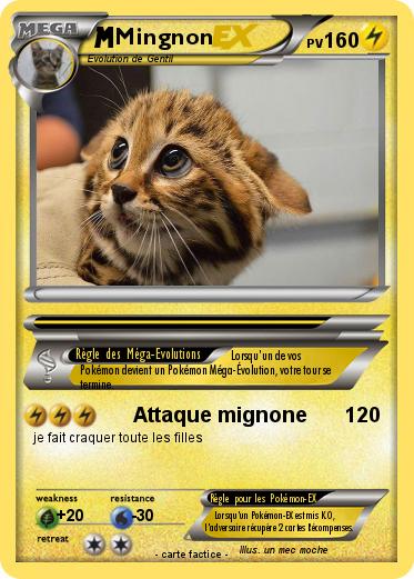 Pokemon Mingnon