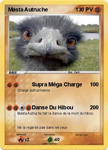 Pokemon Masta Autruche