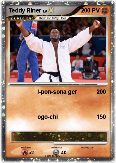 Pokemon Teddy Riner