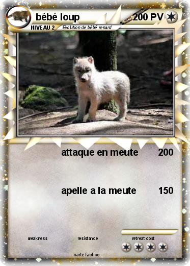 Pokemon bébé loup