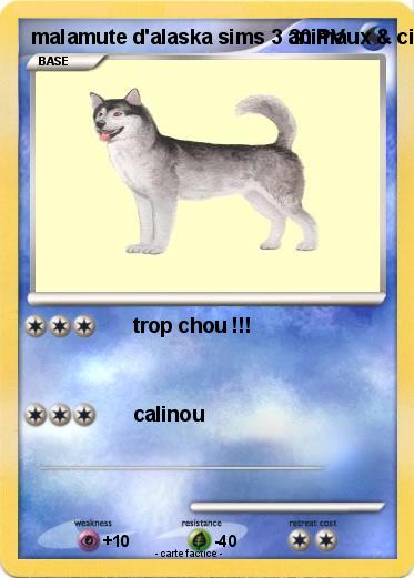 Pokemon malamute d'alaska sims 3 animaux & cie