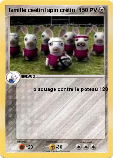 Pokemon famille ceétin lapin crétin