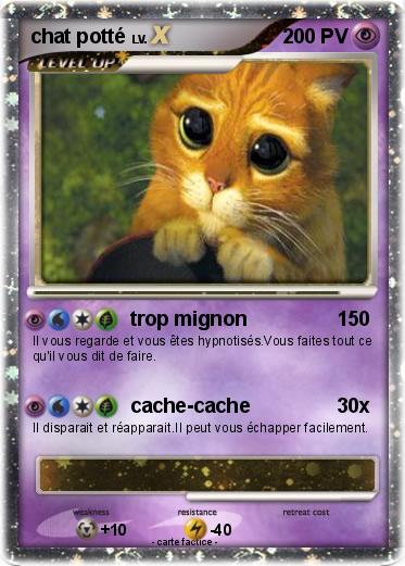 Pokemon chat potté