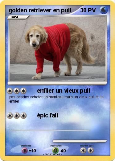 Pokemon golden retriever en pull